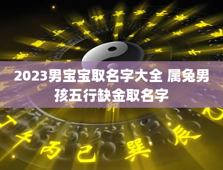 2023男宝宝取名字大全 属兔男孩五行缺金取名字