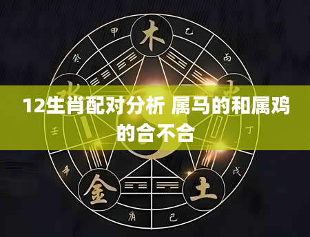12生肖配对分析 属马的和属鸡的合不合