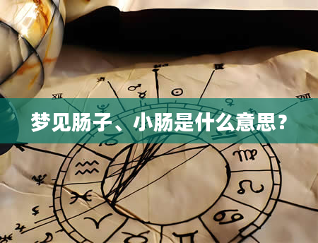 梦见肠子、小肠是什么意思？