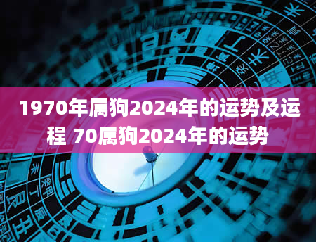 1970年属狗2024年的运势及运程 70属狗2024年的运势