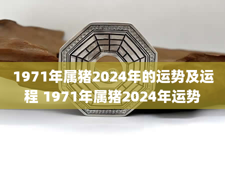 1971年属猪2024年的运势及运程 1971年属猪2024年运势