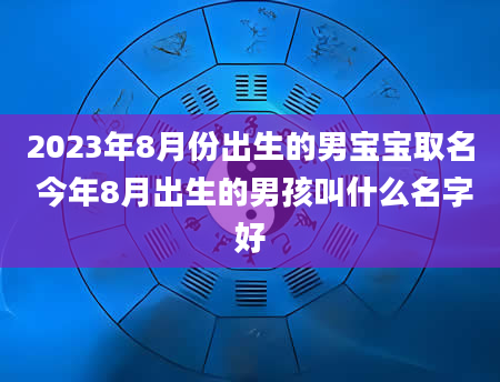 2023年8月份出生的男宝宝取名 今年8月出生的男孩叫什么名字好