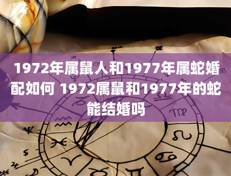 1972年属鼠人和1977年属蛇婚配如何 1972属鼠和1977年的蛇能结婚吗