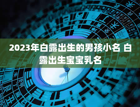 2023年白露出生的男孩小名 白露出生宝宝乳名