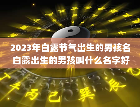 2023年白露节气出生的男孩名 白露出生的男孩叫什么名字好