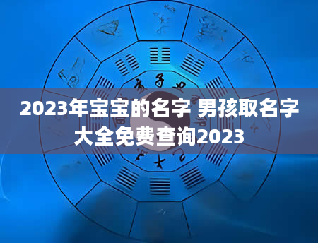 2023年宝宝的名字 男孩取名字大全免费查询2023