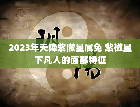 2023年天降紫微星属兔 紫微星下凡人的面部特征