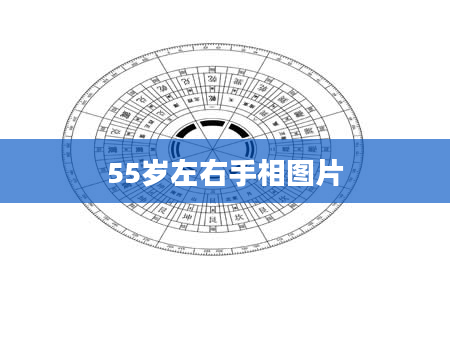 55岁左右手相图片