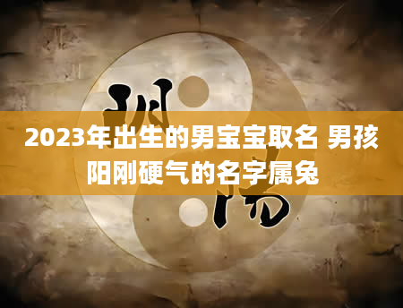 2023年出生的男宝宝取名 男孩阳刚硬气的名字属兔