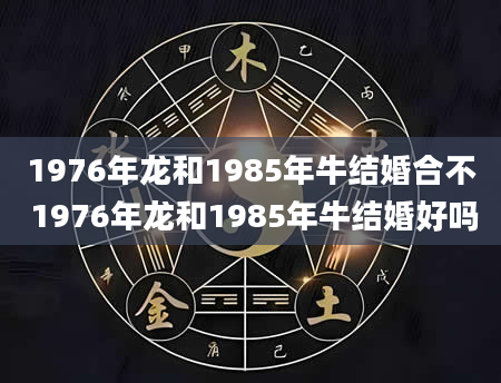 1976年龙和1985年牛结婚合不 1976年龙和1985年牛结婚好吗