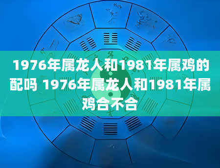 1976年属龙人和1981年属鸡的配吗 1976年属龙人和1981年属鸡合不合