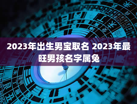 2023年出生男宝取名 2023年最旺男孩名字属兔