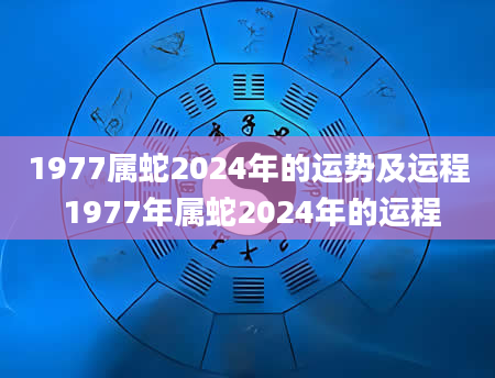 1977属蛇2024年的运势及运程 1977年属蛇2024年的运程