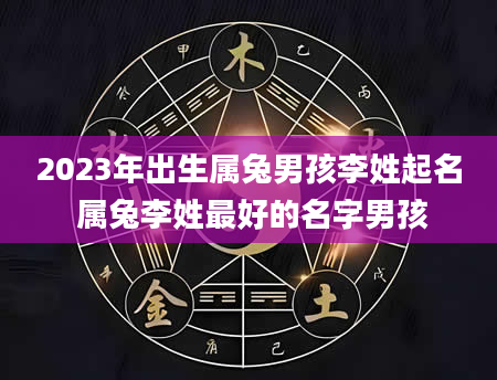 2023年出生属兔男孩李姓起名 属兔李姓最好的名字男孩