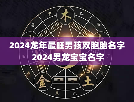 2024龙年最旺男孩双胞胎名字 2024男龙宝宝名字