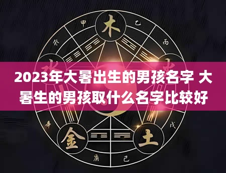 2023年大暑出生的男孩名字 大暑生的男孩取什么名字比较好