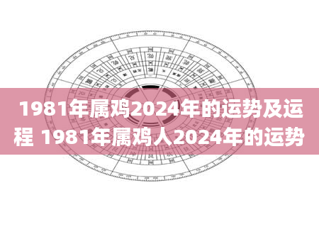 1981年属鸡2024年的运势及运程 1981年属鸡人2024年的运势