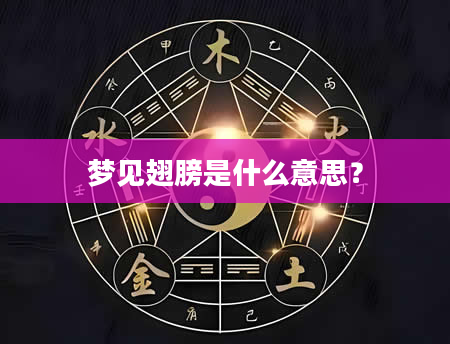 梦见翅膀是什么意思？