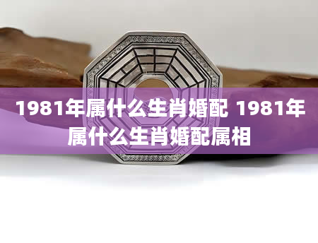 1981年属什么生肖婚配 1981年属什么生肖婚配属相
