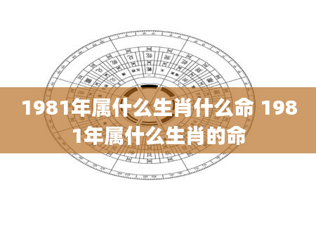 1981年属什么生肖什么命 1981年属什么生肖的命