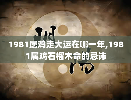 1981属鸡走大运在哪一年,1981属鸡石榴木命的忌讳