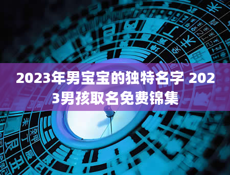 2023年男宝宝的独特名字 2023男孩取名免费锦集