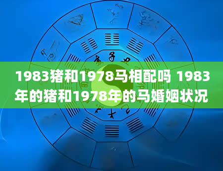 1983猪和1978马相配吗 1983年的猪和1978年的马婚姻状况