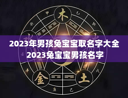 2023年男孩兔宝宝取名字大全 2023兔宝宝男孩名字