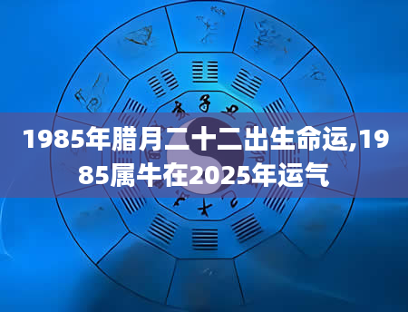 1985年腊月二十二出生命运,1985属牛在2025年运气