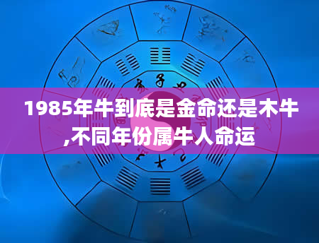1985年牛到底是金命还是木牛,不同年份属牛人命运