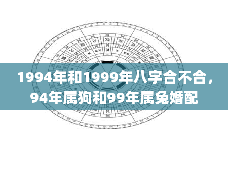 1994年和1999年八字合不合，94年属狗和99年属兔婚配