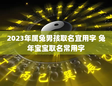 2023年属兔男孩取名宜用字 兔年宝宝取名常用字