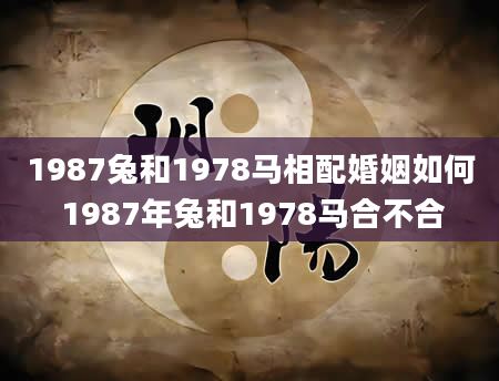1987兔和1978马相配婚姻如何 1987年兔和1978马合不合