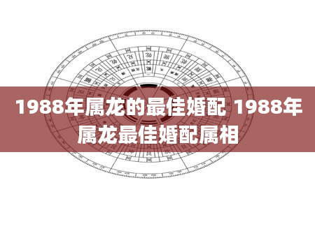 1988年属龙的最佳婚配 1988年属龙最佳婚配属相