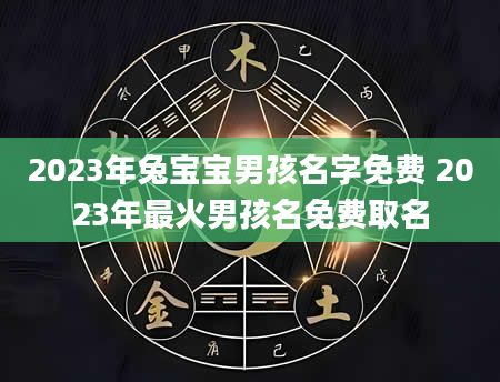 2023年兔宝宝男孩名字免费 2023年最火男孩名免费取名