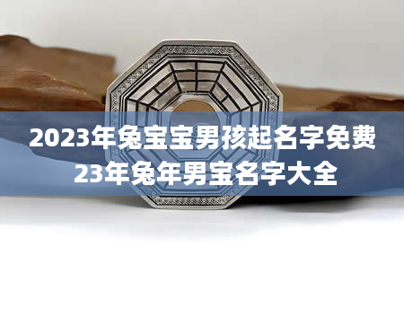 2023年兔宝宝男孩起名字免费 23年兔年男宝名字大全