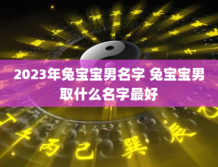 2023年兔宝宝男名字 兔宝宝男取什么名字最好