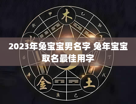 2023年兔宝宝男名字 兔年宝宝取名最佳用字