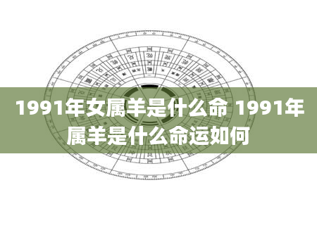 1991年女属羊是什么命 1991年属羊是什么命运如何