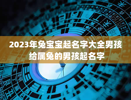 2023年兔宝宝起名字大全男孩 给属兔的男孩起名字