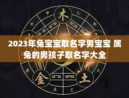 2023年兔宝宝取名字男宝宝 属兔的男孩子取名字大全