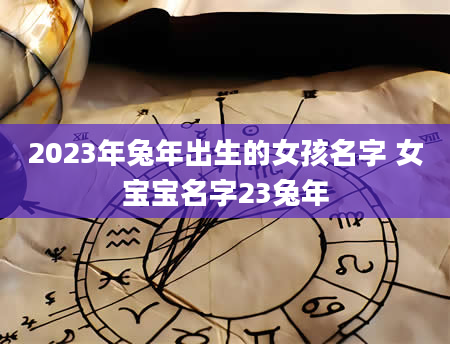 2023年兔年出生的女孩名字 女宝宝名字23兔年