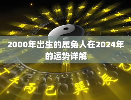 2000年出生的属兔人在2024年的运势详解