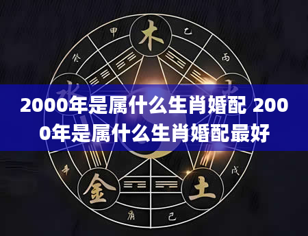 2000年是属什么生肖婚配 2000年是属什么生肖婚配最好