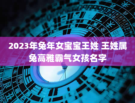 2023年兔年女宝宝王姓 王姓属兔高雅霸气女孩名字