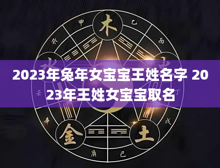 2023年兔年女宝宝王姓名字 2023年王姓女宝宝取名