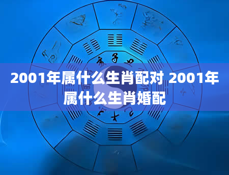 2001年属什么生肖配对 2001年属什么生肖婚配