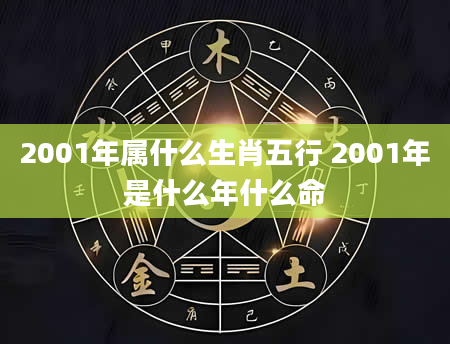 2001年属什么生肖五行 2001年是什么年什么命