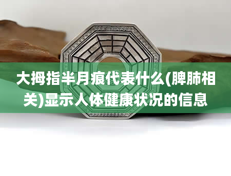 大拇指半月痕代表什么(脾肺相关)显示人体健康状况的信息
