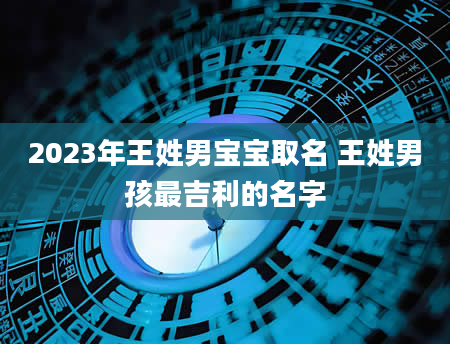2023年王姓男宝宝取名 王姓男孩最吉利的名字
